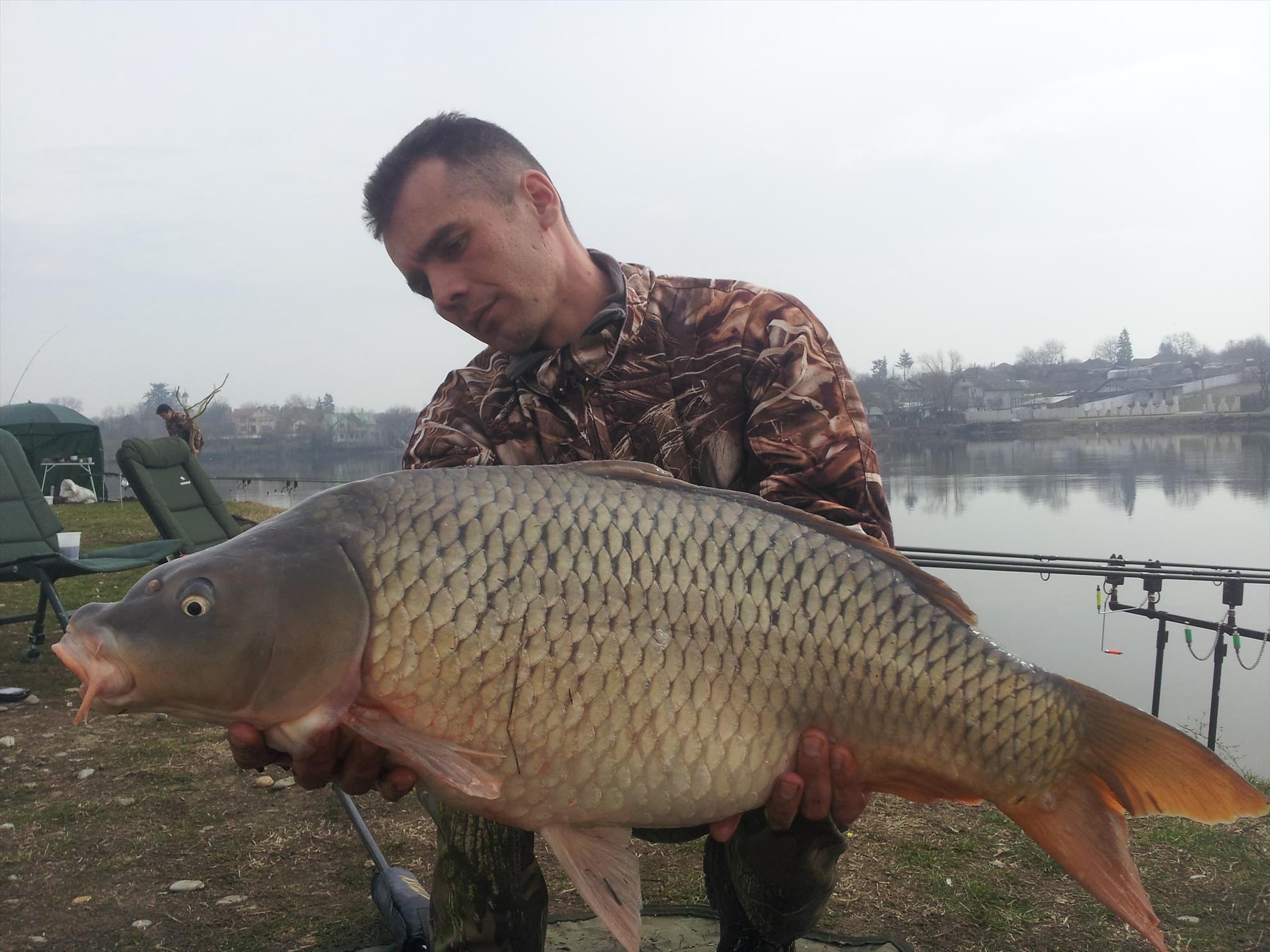 moara vlasiei 2 - 20130310113257.jpg